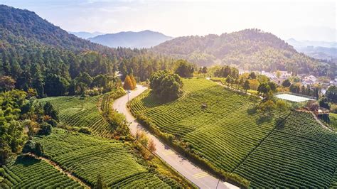 十一去安吉怎樣？旅行体验与风景探秘